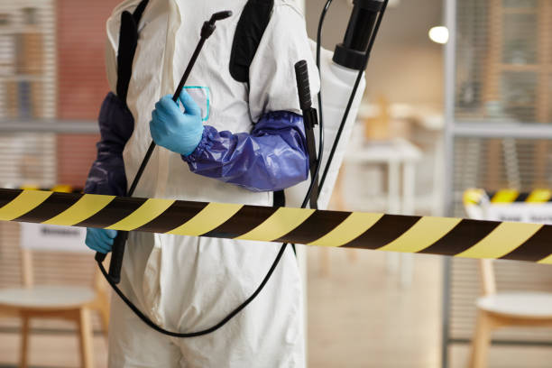Professional Hoarding Cleanup technician working in Evansville, AR